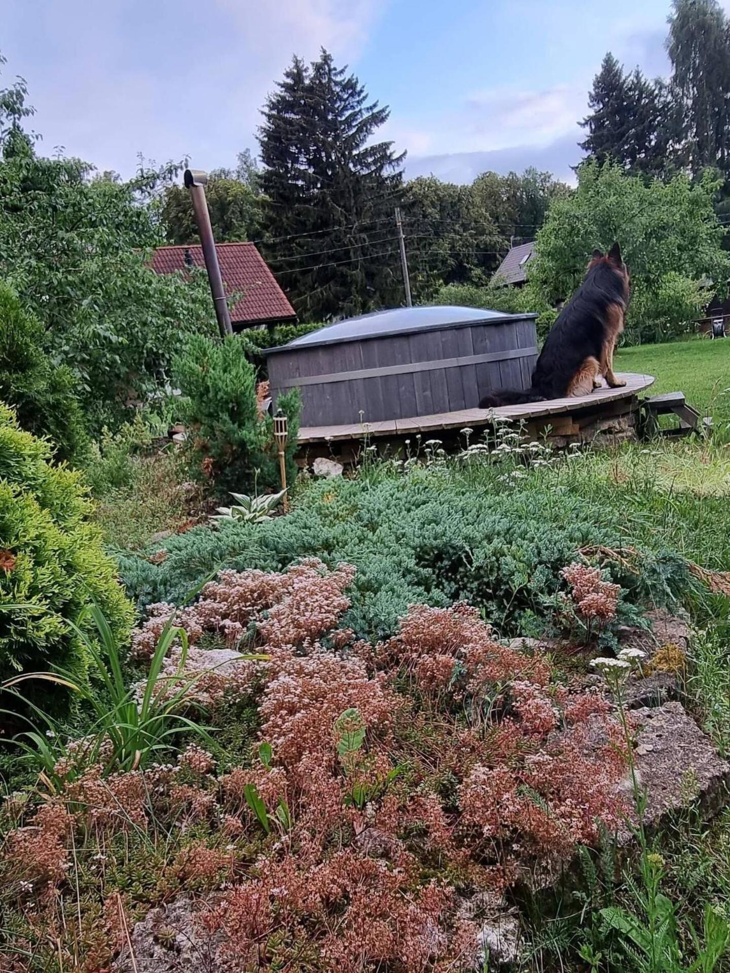 Norwegian Guesthouse Haapse Buitenkant foto