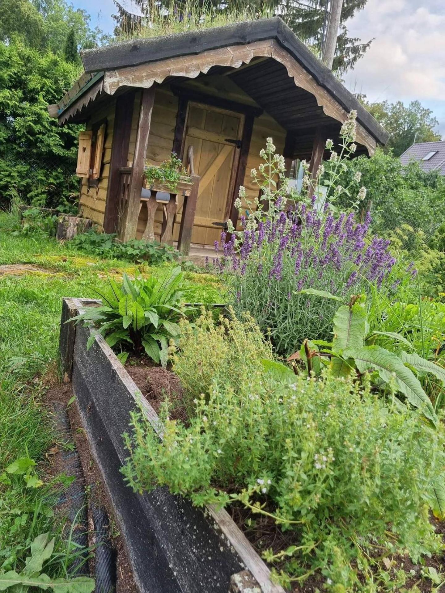 Norwegian Guesthouse Haapse Buitenkant foto